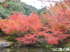 �،ˌ����̍g�t