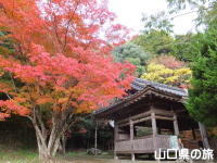 木戸神社の紅葉