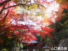 ���t���̍g�t