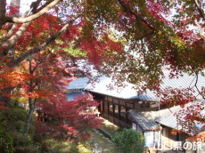 ���t���{�����̍g�t