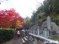 井上馨の墓と紅葉