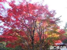 ���t���̍g�t