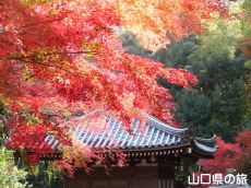 ���t���̍g�t