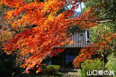 �������̍g�t