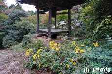 �������̃c���u�L