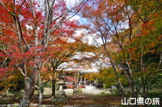 �������̍g�t