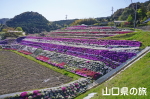 �g�~���̎ō�