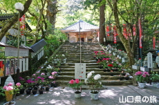 �������̉��O��