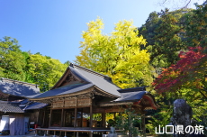 �ԓc�_�Ђ̃C�`���E