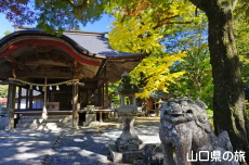 �ԓc�_�Ђ̃C�`���E