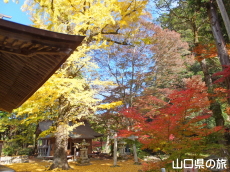 �ԓc�_�Ђ̍g�t