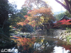 �ԓc�_�Ђ̍g�t