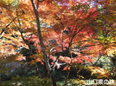 赤田神社の紅葉