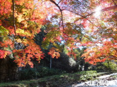 �ԓc�_�Ђ̍g�t