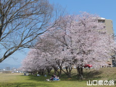 ����͐�����̍�����