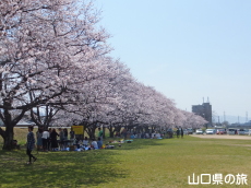 ����͐�����̍�����