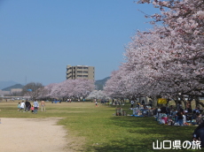 ����͐�����̍�����