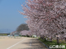 �����^�������̍�