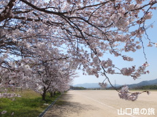 �����^�������̍�