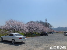 �����^�������̍�