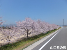 �����^�������̍�