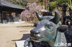 �_���Ǝ}����~