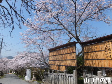 �ÌF�_�Ђ̍�