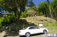 ������ƈ���