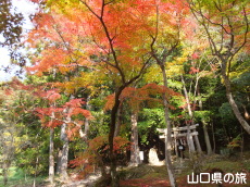 �ÌF�_�Ђ̍g�t