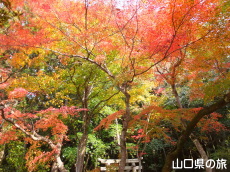 �ÌF�_�Ђ̍g�t