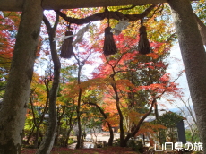 古熊神社の紅葉