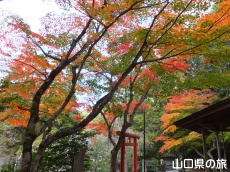 ���X��א_�Ђ̍g�t