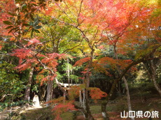 �O�X�_�Ђ̍g�t