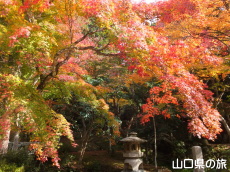 �ÌF�_�Ђ̍g�t