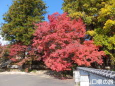 �敟���̍g�t