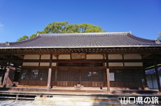 �敟���̍g�t