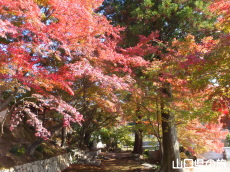 �敟���̍g�t