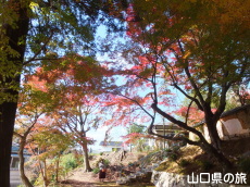 �敟���̍g�t