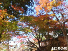 �敟���̍g�t