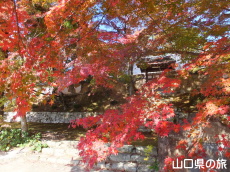 �敟���̍g�t