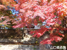 �敟���̍g�t