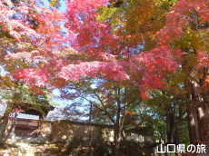 �敟���̍g�t