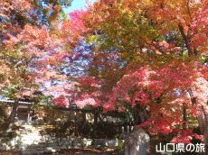 �敟���̍g�t