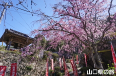 ���d�g�}����