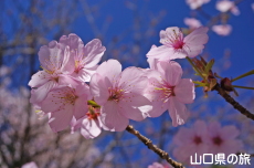 �g��s���N