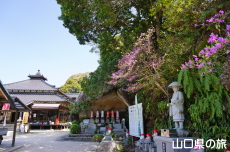 �≮�R�n���@