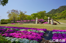 �Z�~�i�[�p�[�N�̎ō�