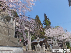 �������{�̍�