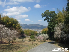 余田臥龍梅