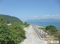 池の浦道路公園